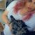 Lara Bölgesinden Travesti Ronya - Resim 5 Lara Bölgesinden Travesti Ronya - Resim 5